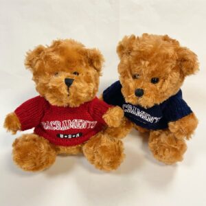 Sacramento Sweater Bear